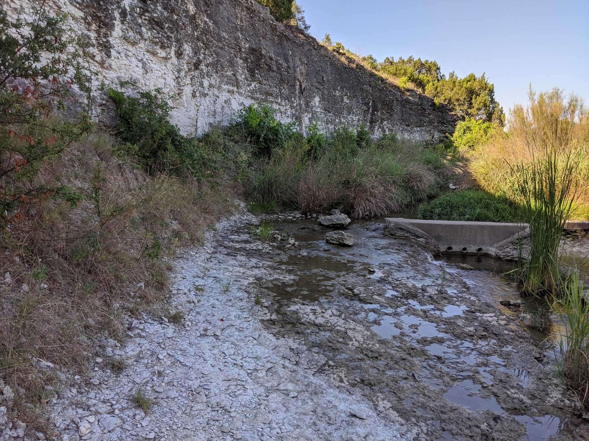 Brushy Creek, TX